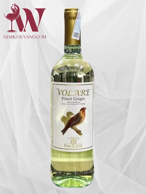 VANG Ý VOLARE PINOT GRIGIO CANTINE PAOLINI (1)