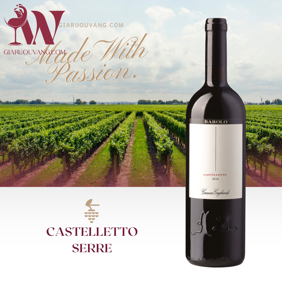 VANG Ý GIANNI GAGLIARDO BAROLO CASTELLETTO SERRE 14 ĐỘ
