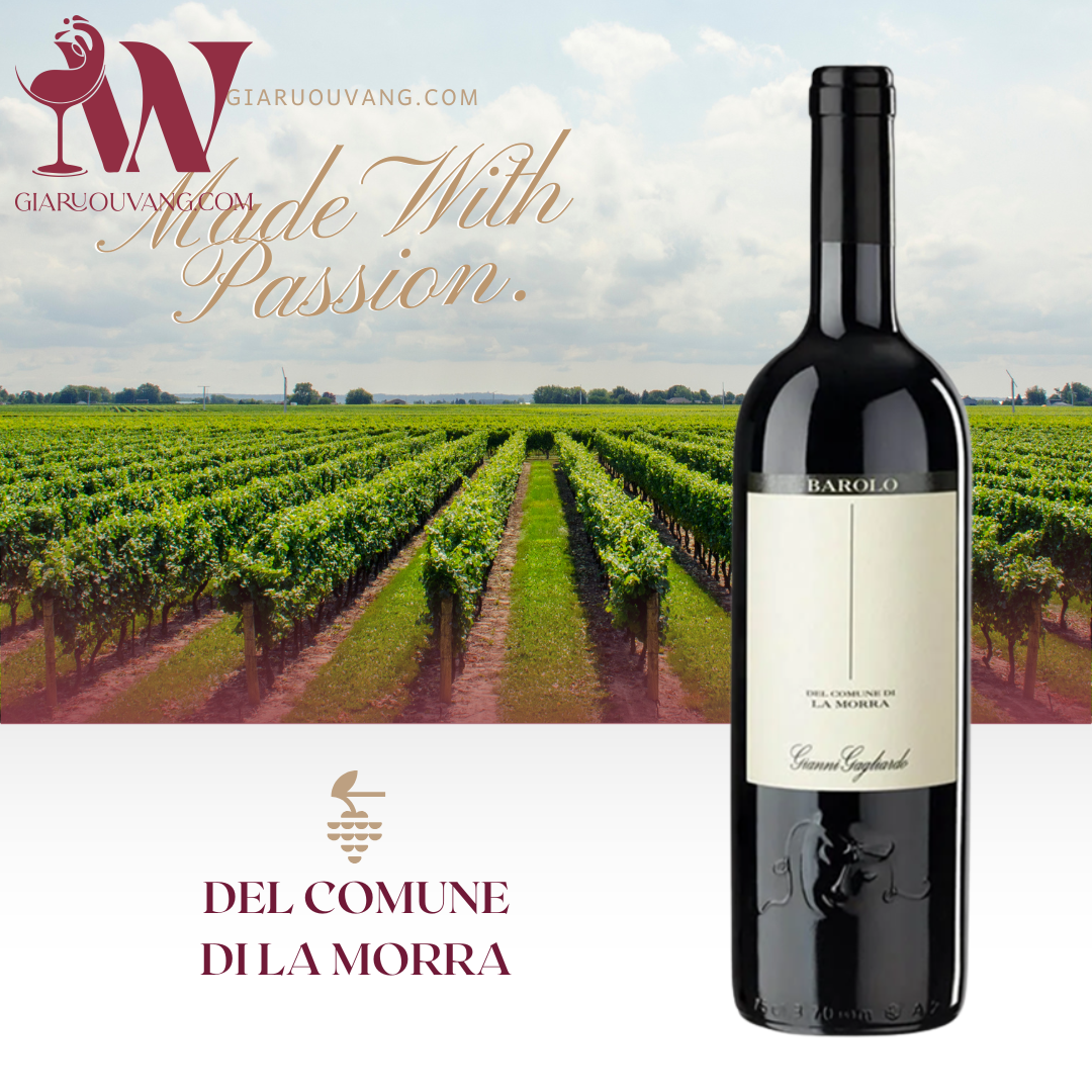 VANG Ý GIANNI GAGLIARDO BAROLO DEL COMUNE DI LA MORRA 14,5 ĐỘ