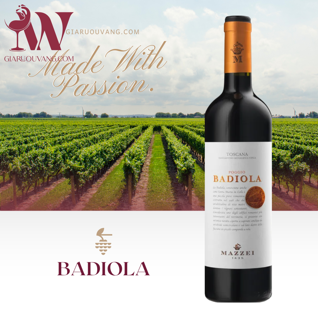 VANG Ý POGGIO BADIOLA TOSCANA 14 ĐỘ