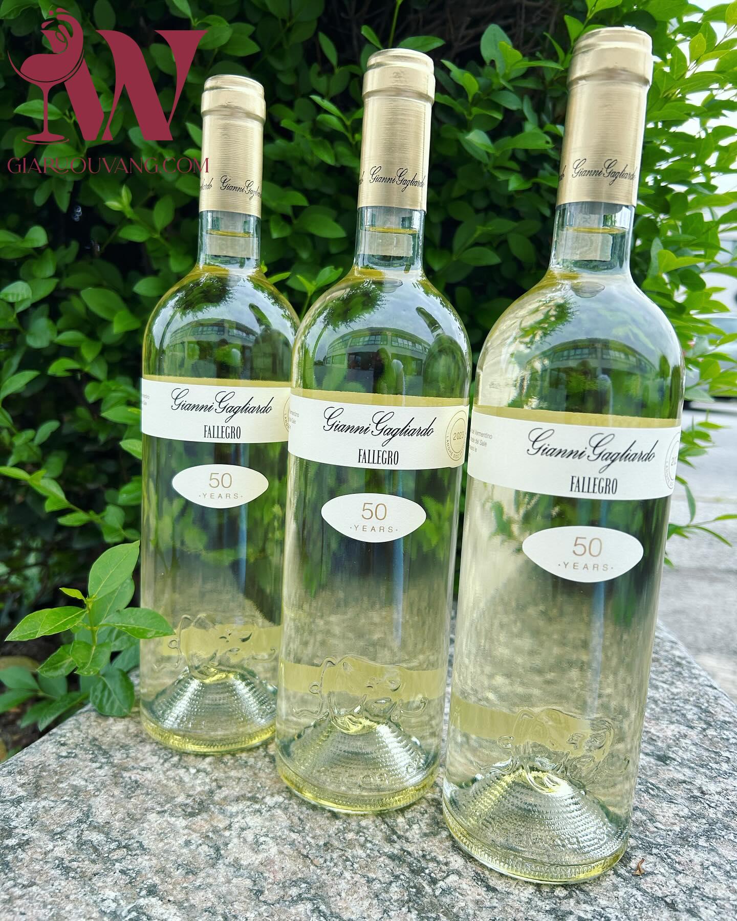VANG Ý GIANNI GAGLIARDO FALLEGRO LANGHE 12,5 ĐỘ