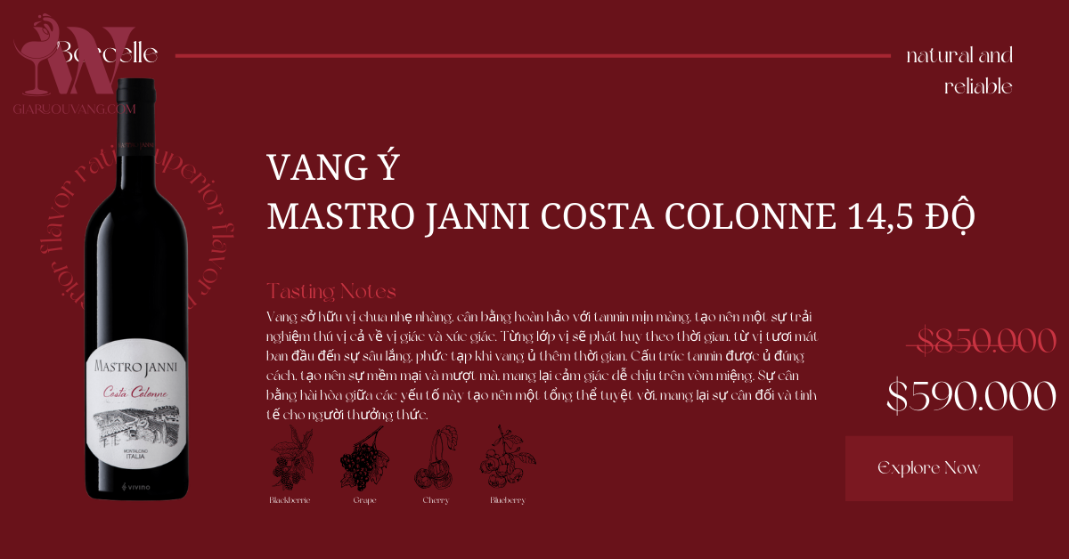 VANG Ý MASTRO JANNI COSTA COLONNE