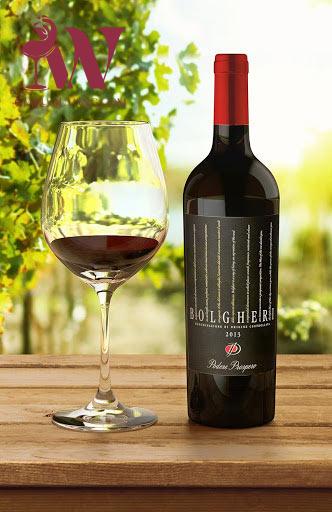 VANG Ý ZENATO BOLGHERI 2020 14,5 ĐỘ