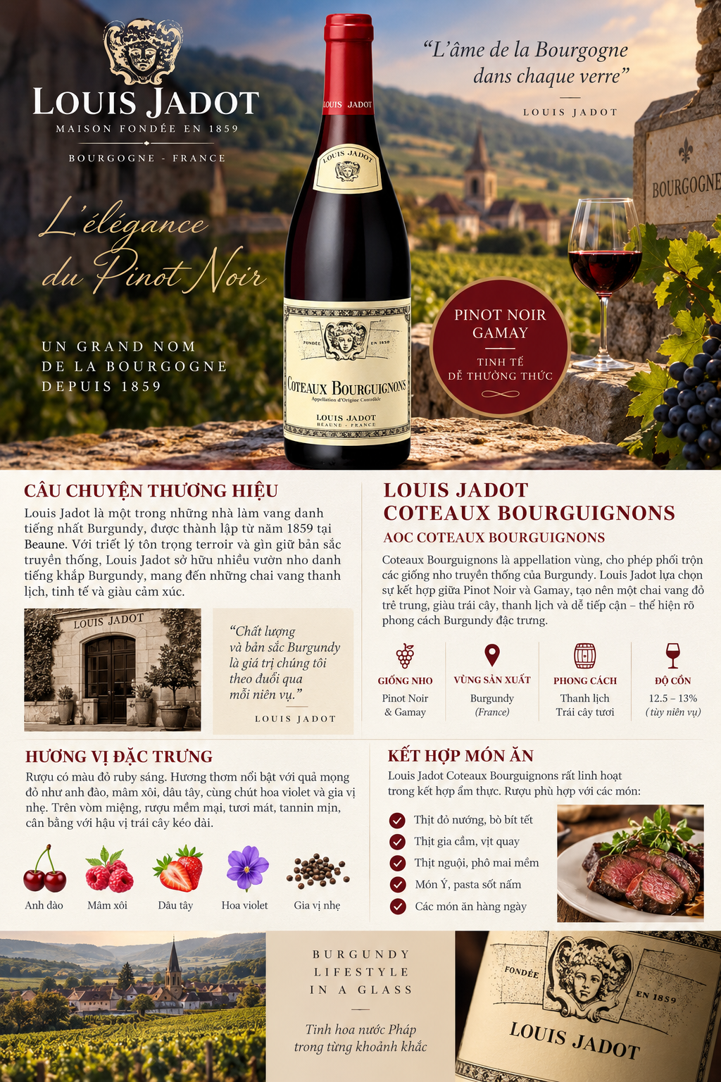 VANG PHÁP LOUIS JADOT COTEAUX BOURGUIGNONS