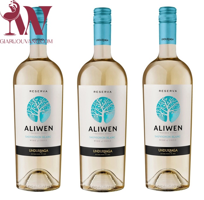 VANG TRẮNG ALIWEN RESERVA SAUVIGNON BLANC 13 ĐỘ