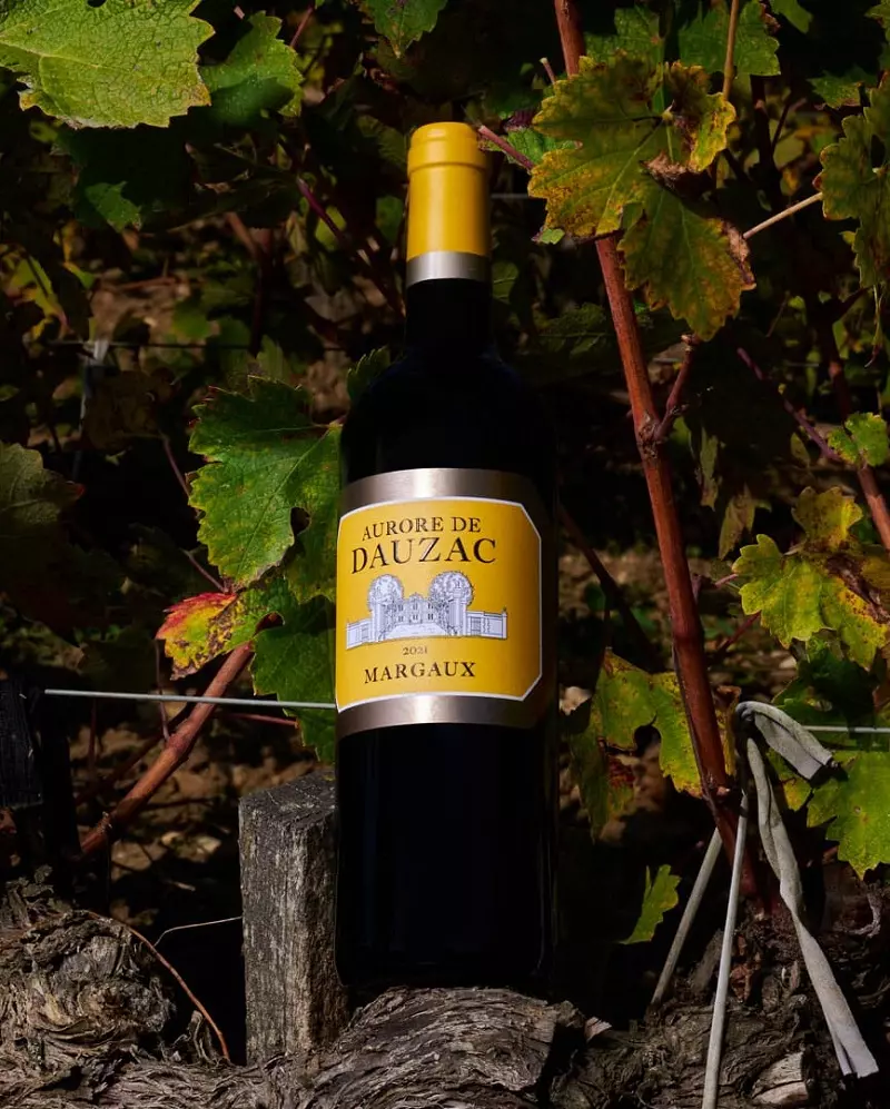 VANG PHÁP AURORE DE DAUZAC