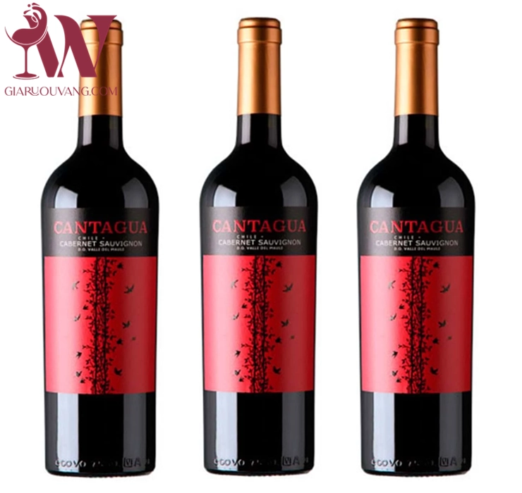 VANG CHILE CANTAGUA CABERNET SAUVIGNON 13 ĐỘ