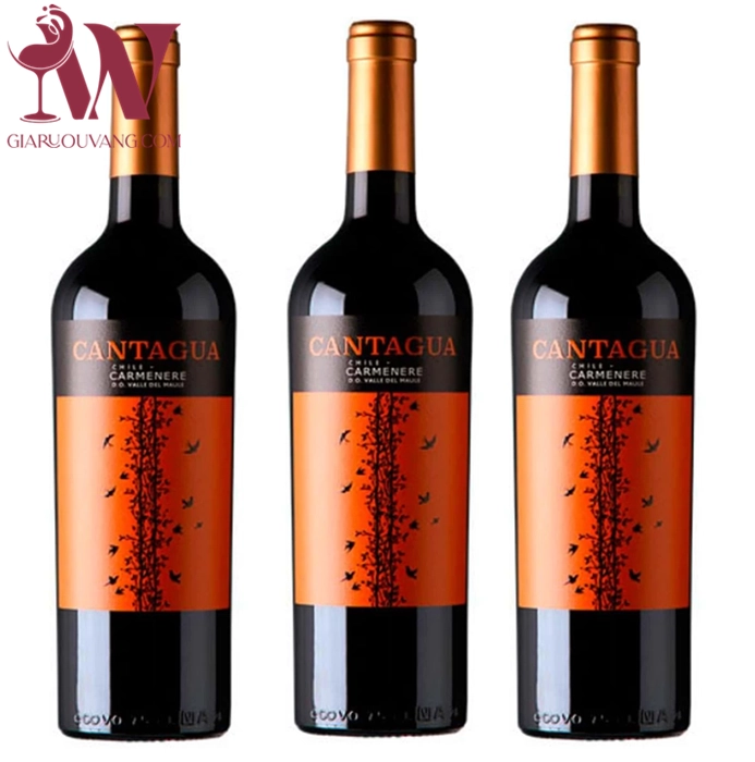 VANG CHILE CANTAGUA CARMENERE 