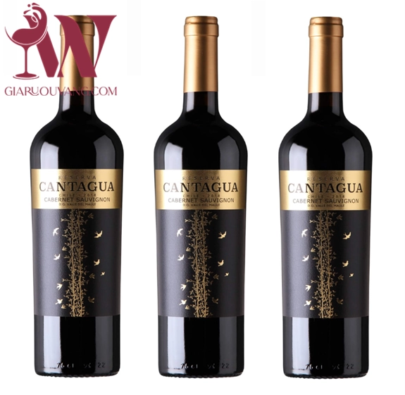 VANG CHILE CANTAGUA RESERVA CABERNET SAUVIGNON 13,5 ĐỘ