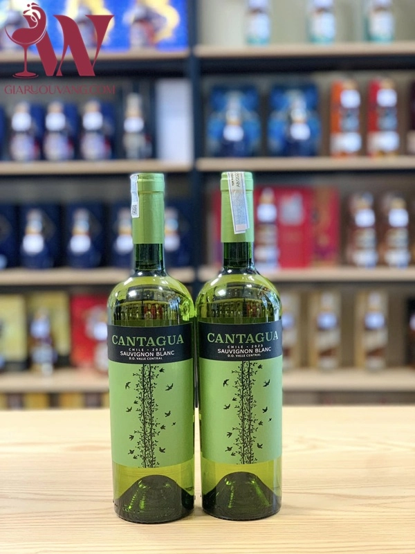 VANG TRẮNG CHILE CANTAGUA SAUVIGNON BLANC 12,5 ĐỘ