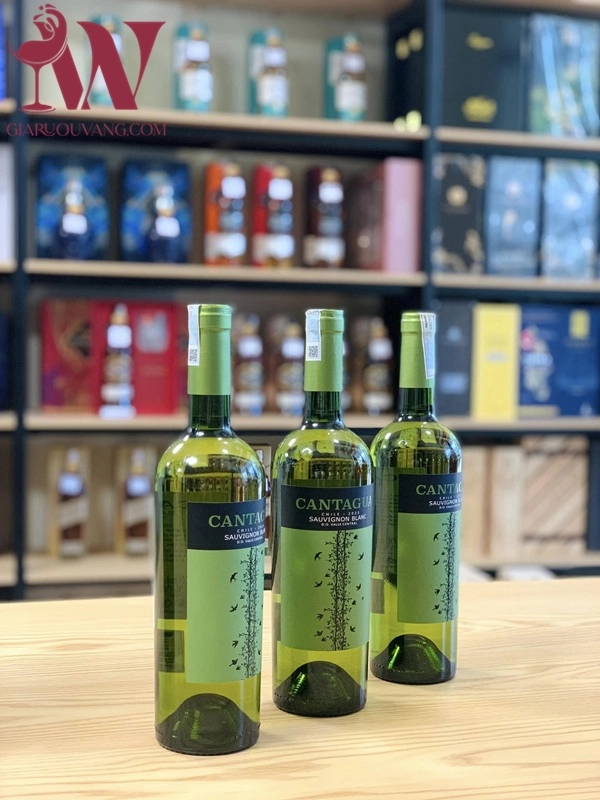 VANG TRẮNG CHILE CANTAGUA SAUVIGNON BLANC 12,5 ĐỘ