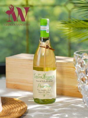 VANG TRẮNG CANTINA ZACCAGNINI PECORINO