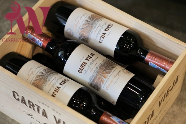 VANG CHILE CARTA VIEJA GRAN RESERVA 14,5 ĐỘ