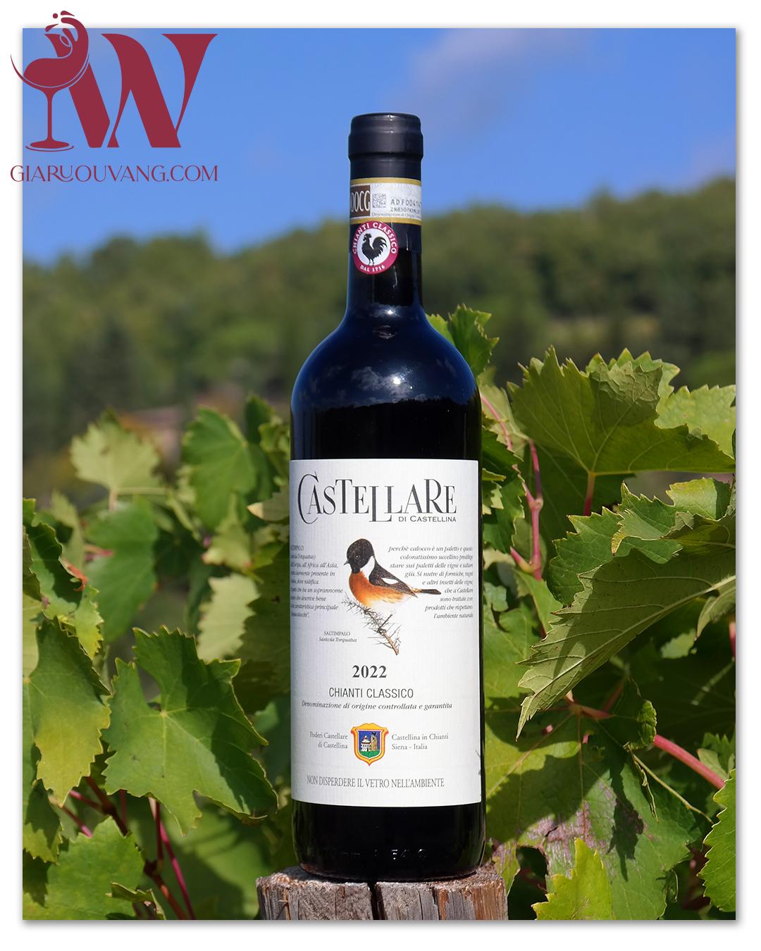 VANG Ý CASTELLARE DI CASTELLINA CHIANTI CLASSICO