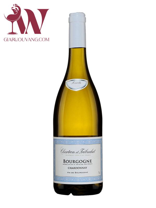 VANG TRẮNG CHARTRON ET TRÉBUCHET BOURGOGNE CHARDONNAY