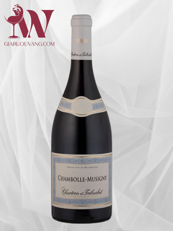 VANG PHÁP CHARTRON ET TRÉBUCHET CHAMBOLLE-MUSIGNY