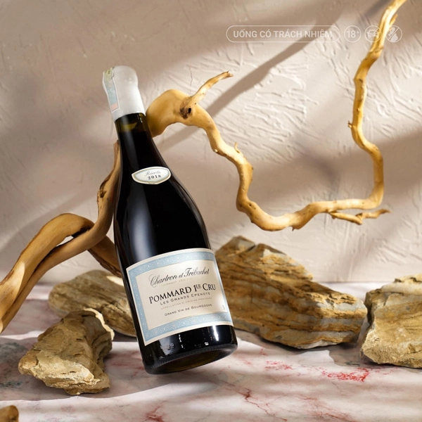 VANG PHÁP CHARTRON ET TRÉBUCHET POMMARD 1ER CRU LES GRANDS EPENOTS