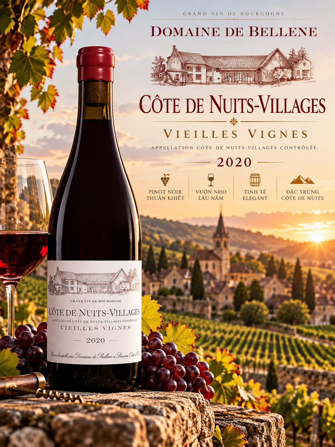VANG PHÁP DOMAINE DE BELLENE CÔTE DE NUITS-VILLAGES VIEILLES VIGNES