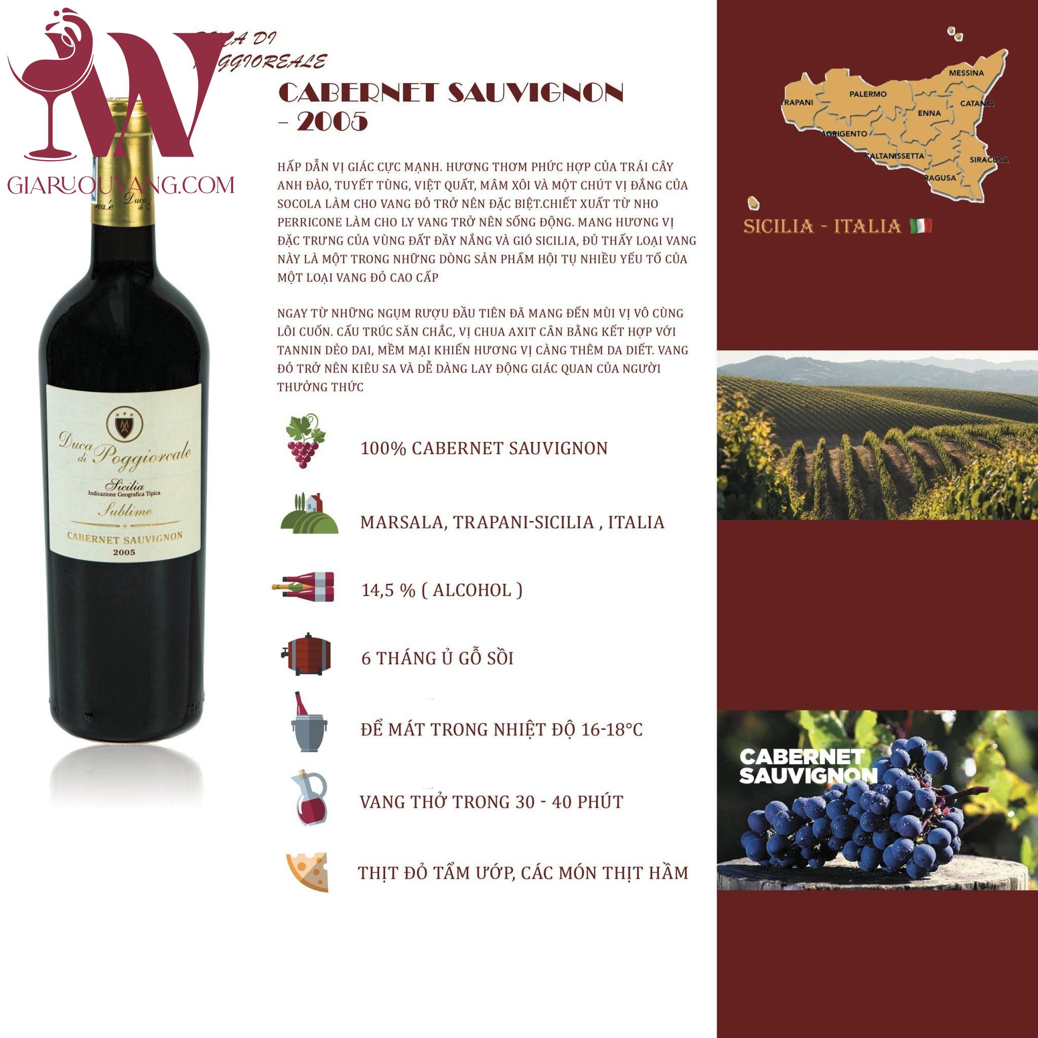 VANG Ý DUCA DI POGGIOREALE CABERNET SAUVIGNON 2005