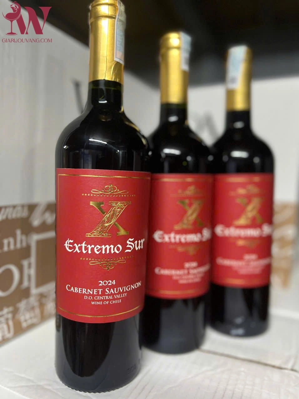 VANG CHILE X EXTREMO SUR
