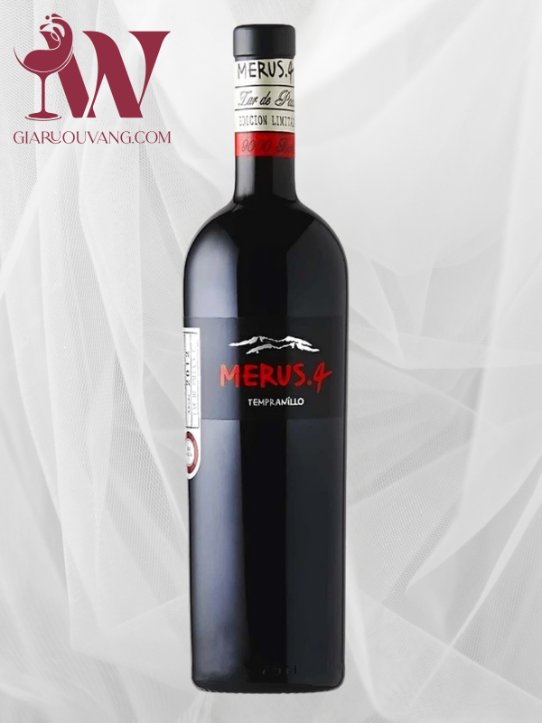 Lar de Paula Merus.4 (2)