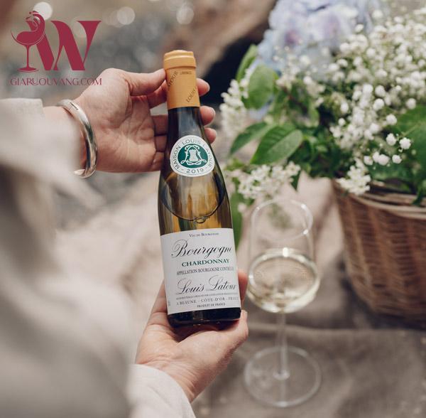 VANG TRẮNG LOUIS LATOUR BOURGOGNE CHARDONNAY