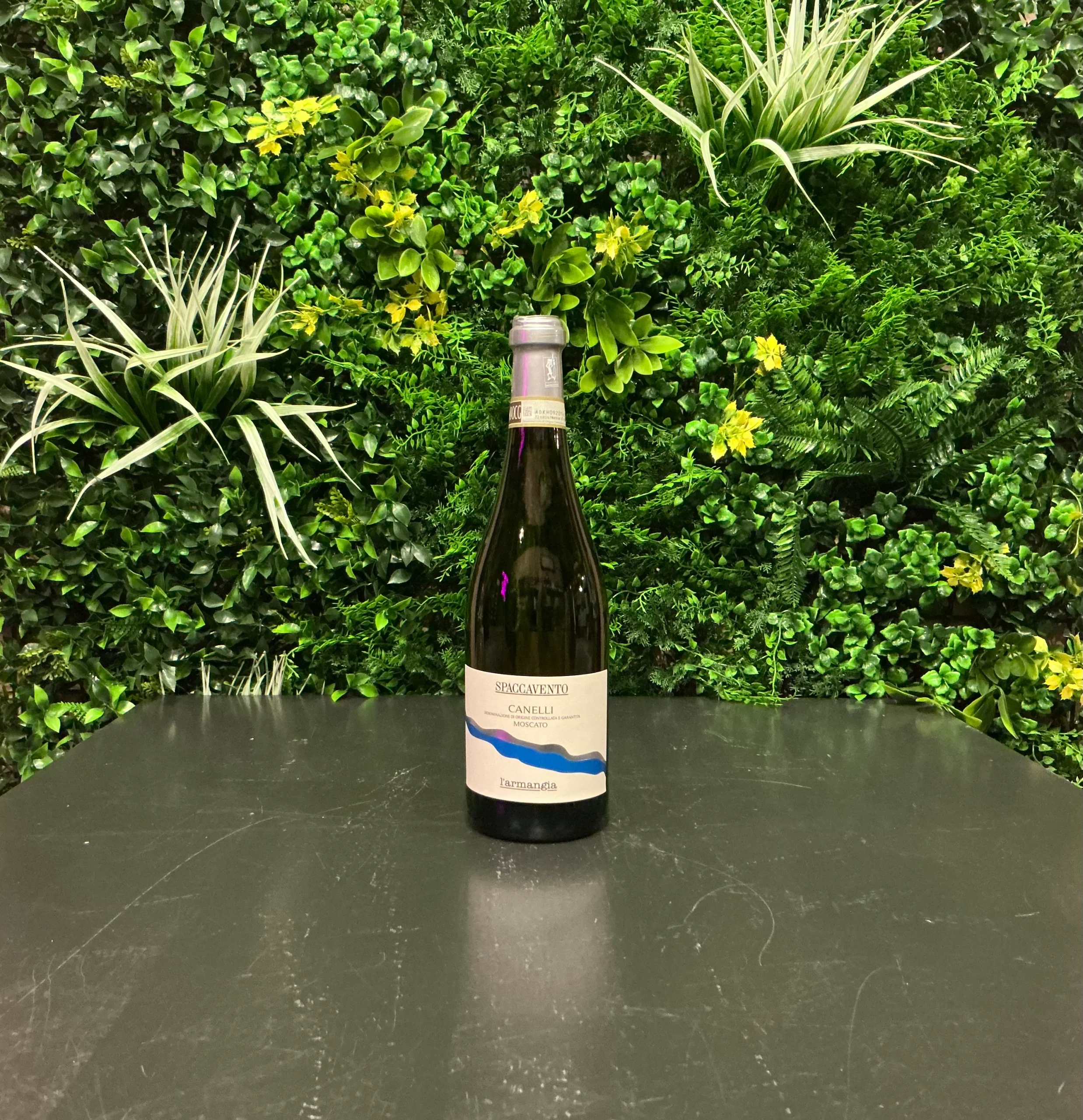 VANG Ý MOSCATO D'ASTI DOCG CANELLI