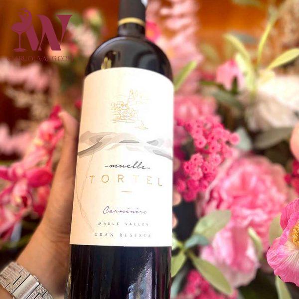 VANG CHILE MUELLE TORTEL GRAN RESERVA CARMENERE 14 ĐỘ