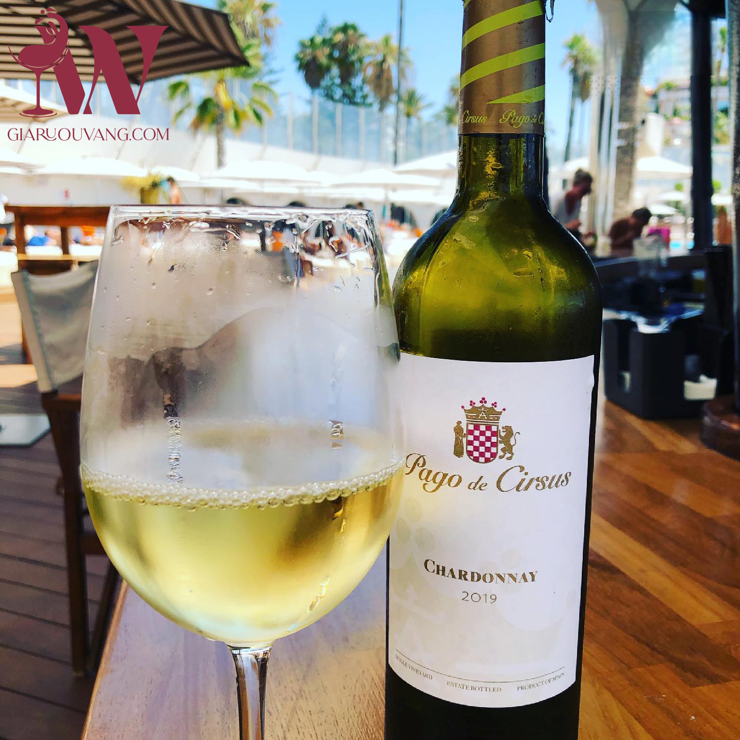 RƯỢU VANG TRẮNG PAGO DE CIRSUS CHARDONNAY 14 ĐỘ