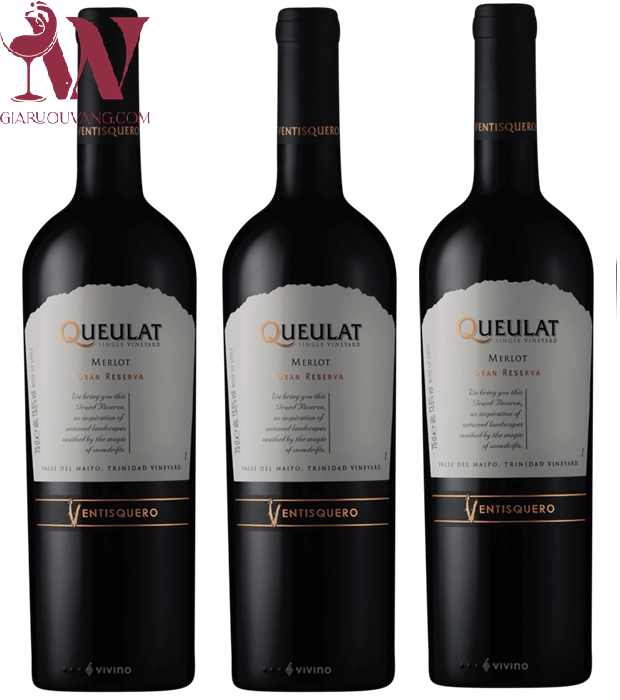 VANG CHILE QUEULAT GRAN RESERVA MERLOT RẺ