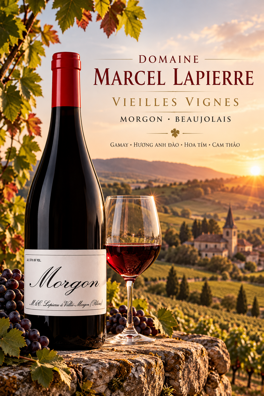RƯỢU VANG PHÁP DOMAINE MARCEL LAPIERRE VIEILLES VIGNES MORGON