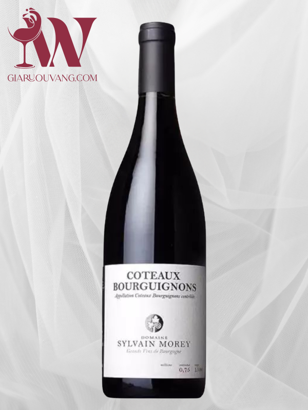 RƯỢU VANG PHÁP DOMAINE SYLVAIN MOREY COTEAUX BOURGUIGNONS