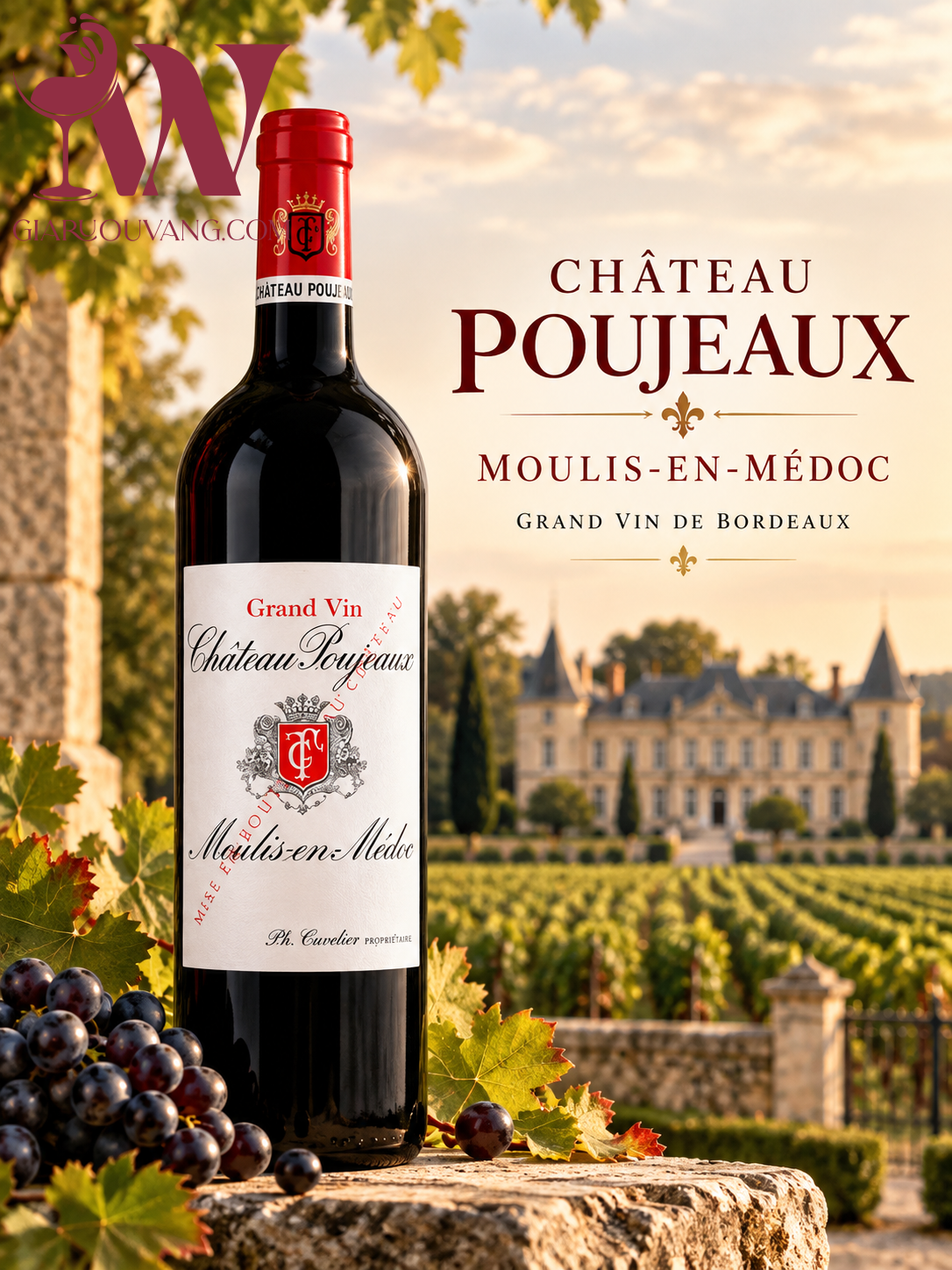 RƯỢU VANG PHÁP CHÂTEAU POUJEAUX MOULIS-EN-MÉDOC