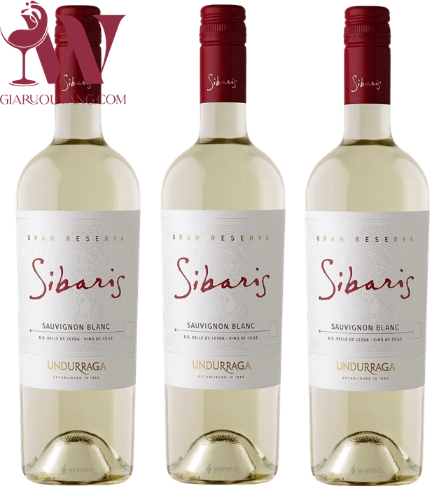 VANG TRẮNG SIBARIS SAUVIGNON BLANC RẺ NHẤT