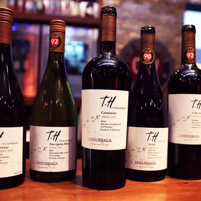 VANG CHILE T.H SYRAH 14 ĐỘ-RẺ NHẤT