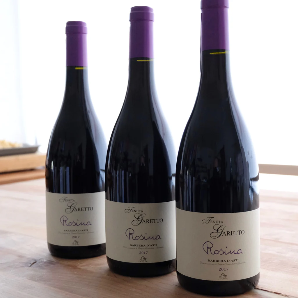 VANG Ý TENUTA GARETTO ROSINA BARBERA D'ASTI 