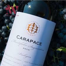 RƯỢU VANG TENUTE LUNELLI CARAPACE MONTEFALCO SAGRANTINO
