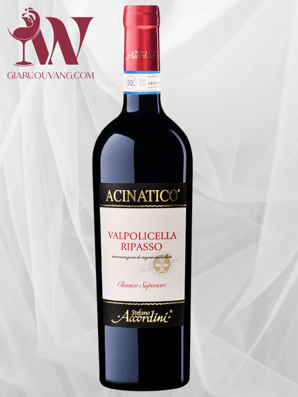 VALPOLICELLA CLASSICO SUPERIORE RIPASSO 2022 (1)