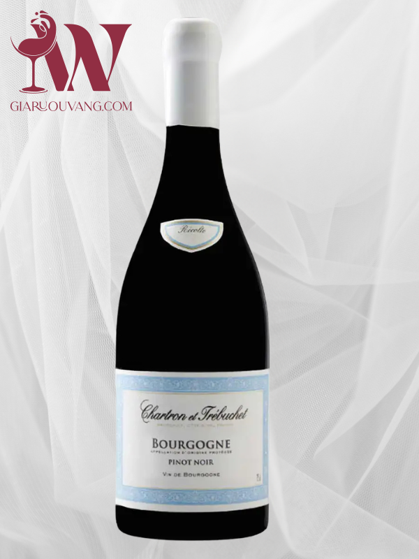 VANG PHÁP CHARTRON ET TRÉBUCHET BOURGOGNE PINOT NOIR
