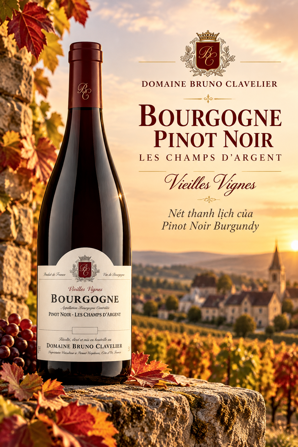 VANG PHÁP DOMAINE BRUNO CLAVELIER BOURGOGNE