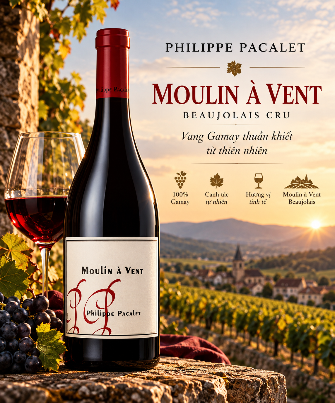 VANG PHÁP MOULIN À VENT PHILIPPE PACALET