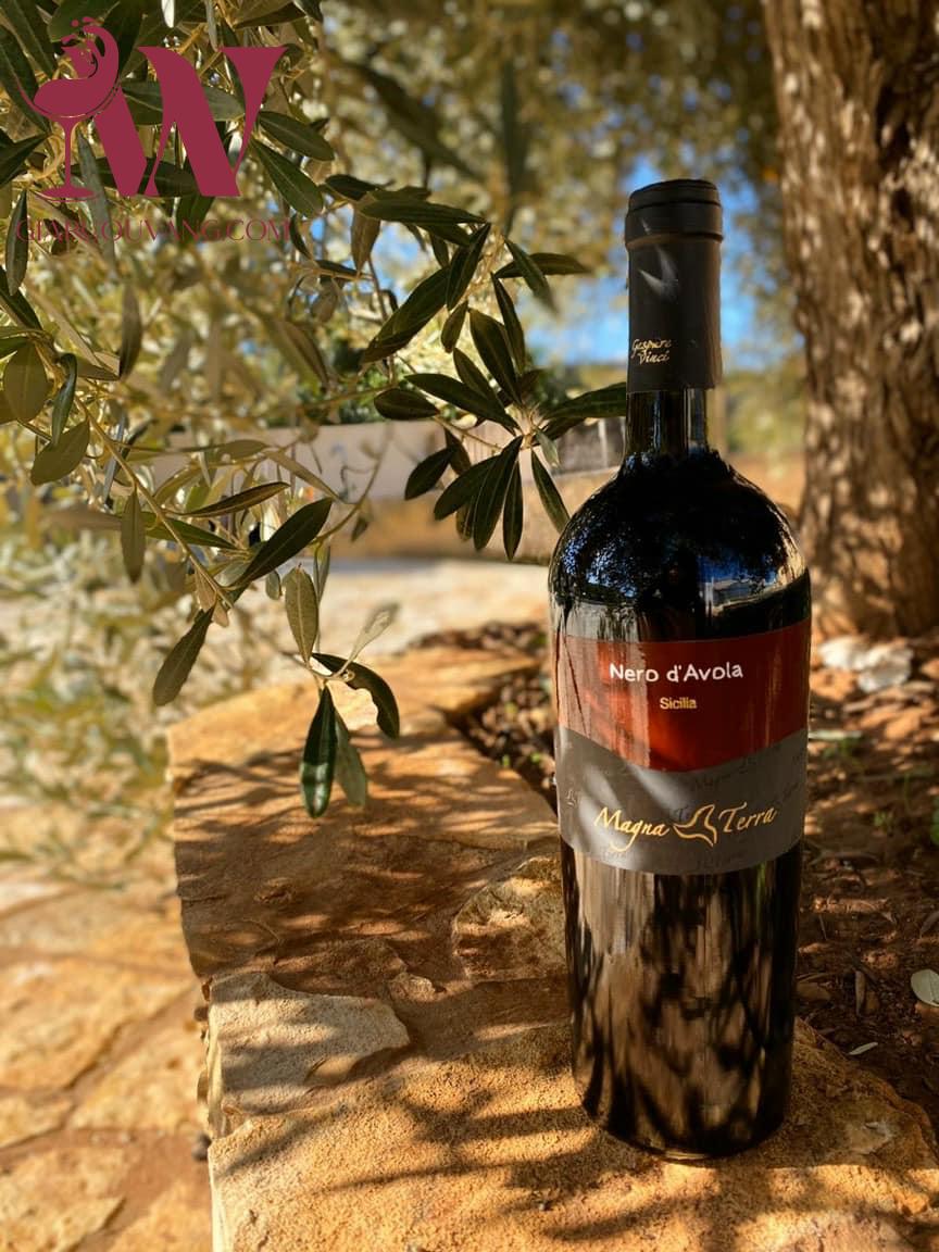 VANG Ý MAGNA TERRA NERO D`AVOLA SICILIA 2005