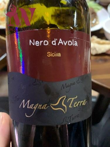 VANG Ý MAGNA TERRA NERO D`AVOLA SICILIA 2005