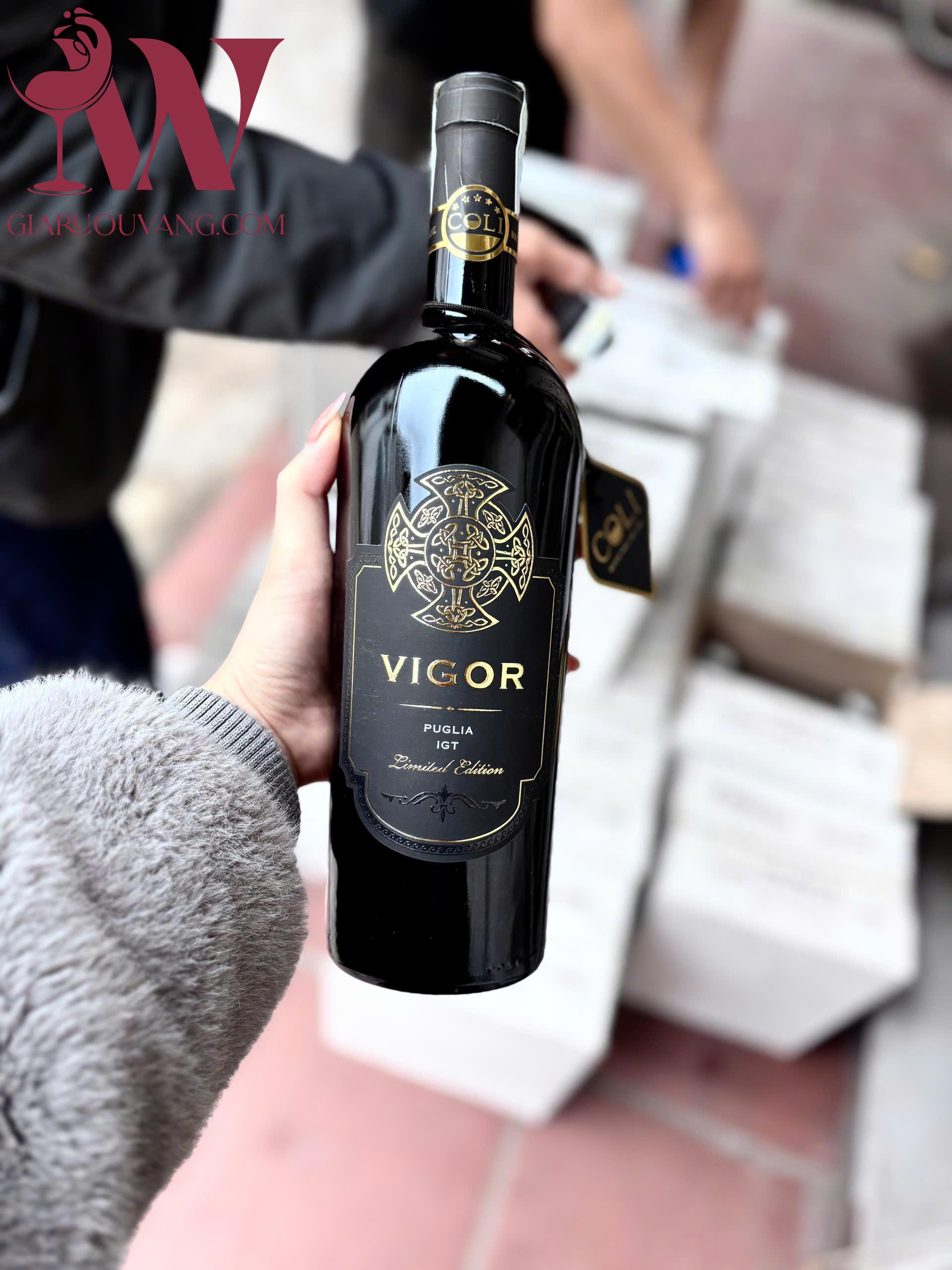 VANG Ý VIGOR PUGLIA