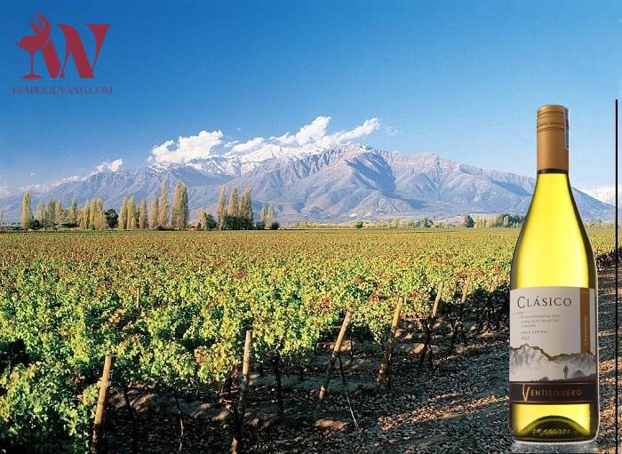 VANG TRẮNG VENTISQUERO CLASICO CHARDONNAY 13 ĐỘ