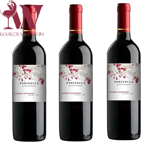 VANG CHILE VENTISQUERO PENINSULA CABERNET SAUVIGNON 13 ĐỘ