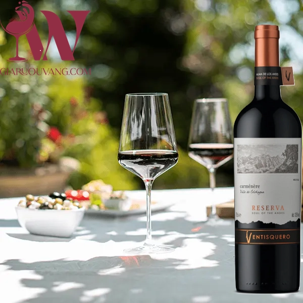 VANG CHILE VENTISQUERO RESERVA CARMENERE RẺ NHẤT