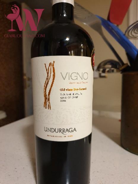 VANG CHILE VIGNO OLD VINES DRY-FARMED CARIGNAN 14,5 ĐỘ