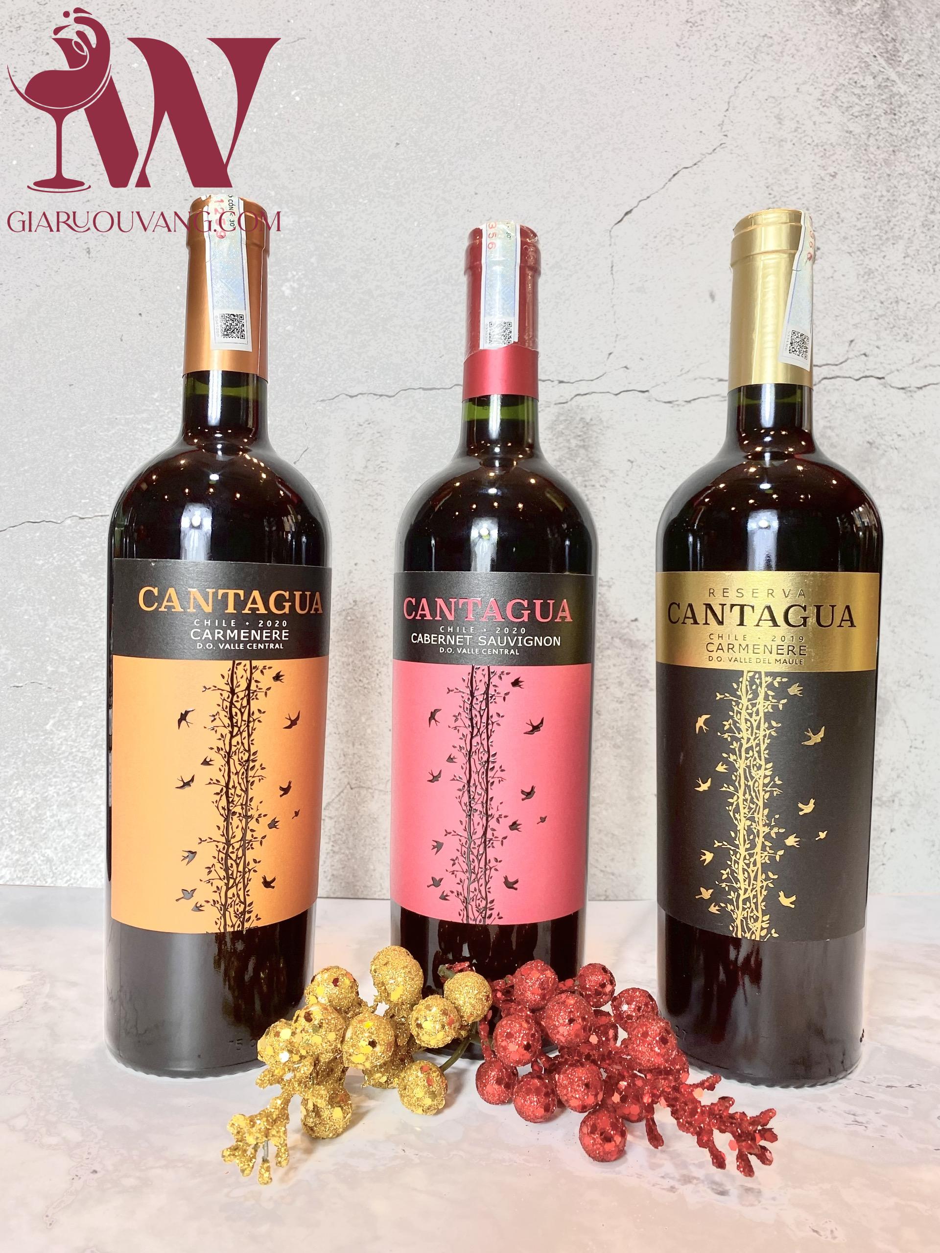 VANG CHILE CANTAGUA CABERNET SAUVIGNON 13 ĐỘ