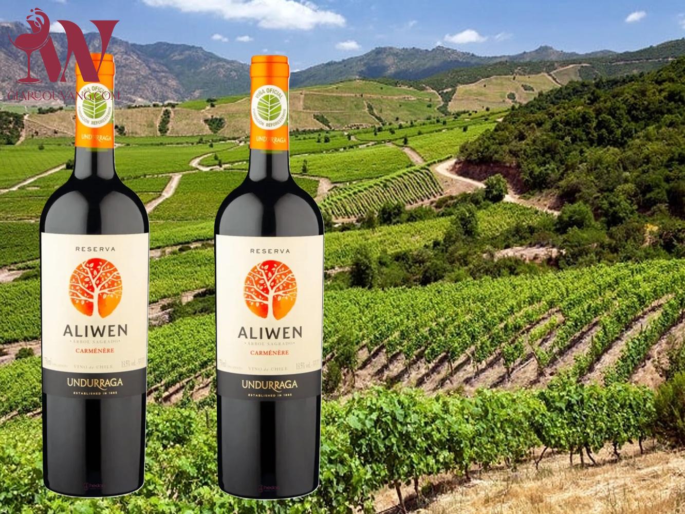 VANG CHILE ALIWEN RESERVA CARMENERE